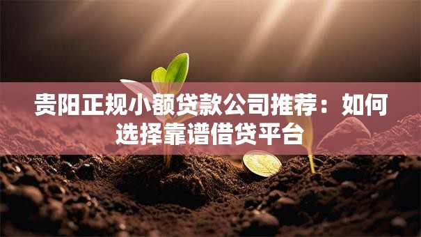 贵阳正规小额贷款公司推荐：如何选择靠谱借贷平台