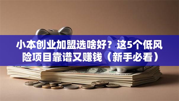 小本创业加盟选啥好？这5个低风险项目靠谱又赚钱（新手必看）