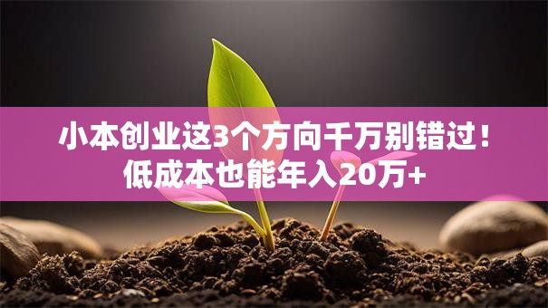 小本创业这3个方向千万别错过！低成本也能年入20万+