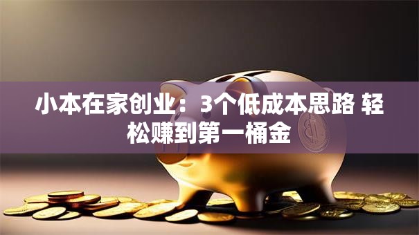 小本在家创业：3个低成本思路 轻松赚到第一桶金