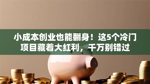 小成本创业也能翻身！这5个冷门项目藏着大红利，千万别错过