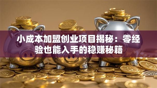 小成本加盟创业项目揭秘：零经验也能入手的稳赚秘籍