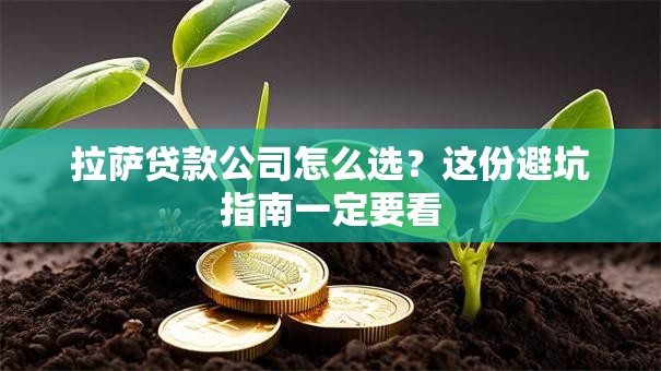 拉萨贷款公司怎么选？这份避坑指南一定要看