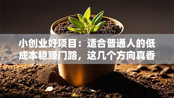 小创业好项目：适合普通人的低成本稳赚门路，这几个方向真香！