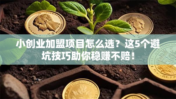 小创业加盟项目怎么选？这5个避坑技巧助你稳赚不赔！