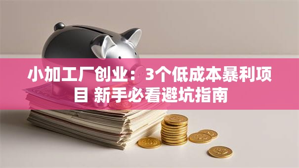 小加工厂创业：3个低成本暴利项目 新手必看避坑指南