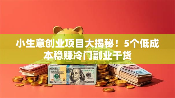 小生意创业项目大揭秘！5个低成本稳赚冷门副业干货