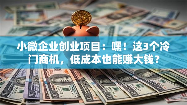 小微企业创业项目：嘿！这3个冷门商机，低成本也能赚大钱？