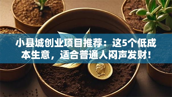 小县城创业项目推荐:这5个低成本生意,适合普通人闷声发财! 小县城创业项目推荐:这5个低成本生意,适合普通人闷声发财!