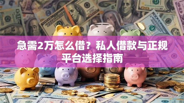 急需2万怎么借？私人借款与正规平台选择指南