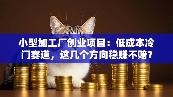 小型加工厂创业项目：低成本冷门赛道，这几个方向稳赚不赔？
