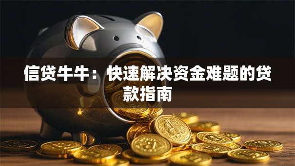 信贷牛牛：快速解决资金难题的贷款指南