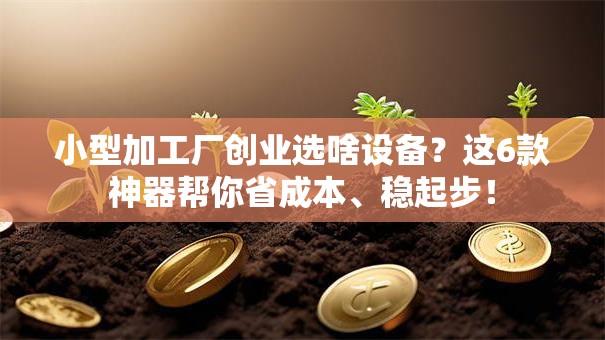 小型加工厂创业选啥设备？这6款神器帮你省成本、稳起步！
