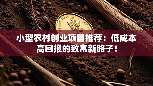 小型农村创业项目推荐：低成本高回报的致富新路子！