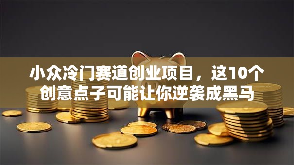 小众冷门赛道创业项目，这10个创意点子可能让你逆袭成黑马
