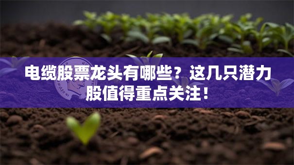 电缆股票龙头有哪些？这几只潜力股值得重点关注！