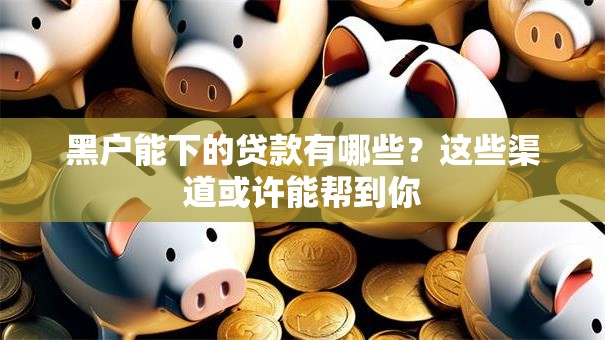 黑户能下的贷款有哪些？这些渠道或许能帮到你