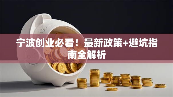 宁波创业必看！最新政策+避坑指南全解析