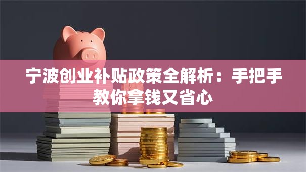 宁波创业补贴政策全解析：手把手教你拿钱又省心