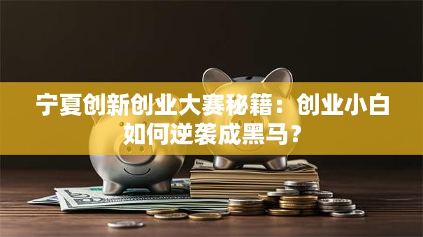宁夏创新创业大赛秘籍：创业小白如何逆袭成黑马？
