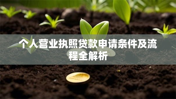 个人营业执照贷款申请条件及流程全解析