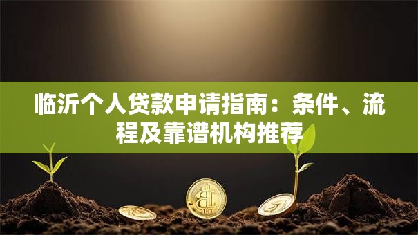 临沂个人贷款申请指南：条件、流程及靠谱机构推荐