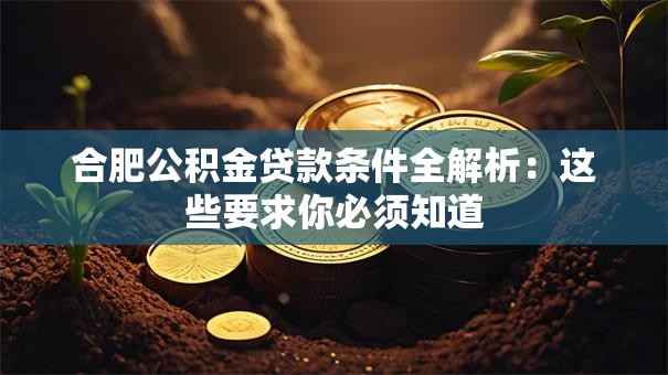 合肥公积金贷款条件全解析：这些要求你必须知道