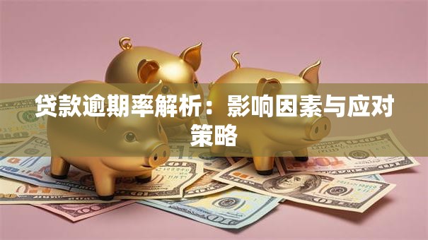 贷款逾期率解析：影响因素与应对策略