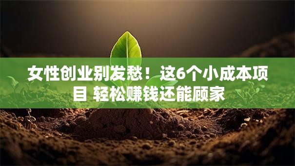 女性创业别发愁！这6个小成本项目 轻松赚钱还能顾家