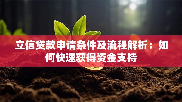 立信贷款申请条件及流程解析：如何快速获得资金支持