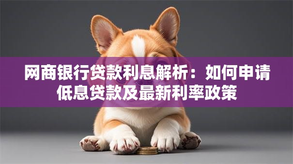 网商银行贷款利息解析：如何申请低息贷款及最新利率政策
