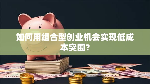 如何用组合型创业机会实现低成本突围？