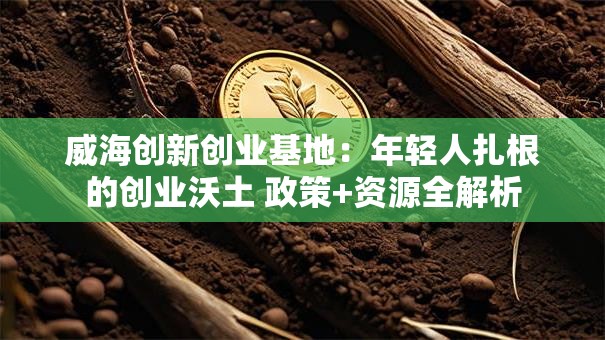 威海创新创业基地：年轻人扎根的创业沃土 政策+资源全解析