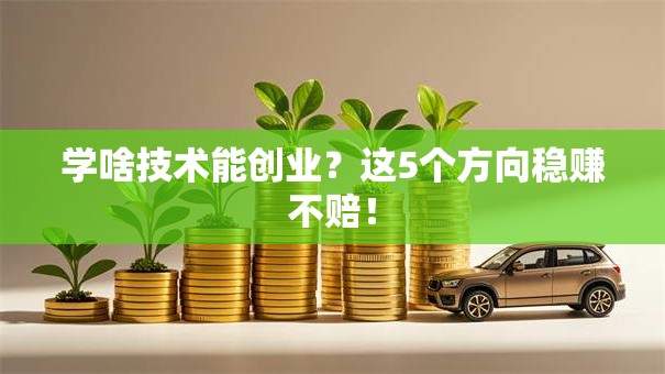 学啥技术能创业？这5个方向稳赚不赔！