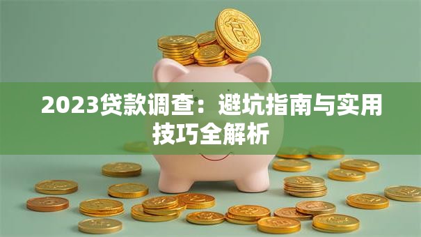 2023贷款调查：避坑指南与实用技巧全解析