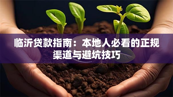 临沂贷款指南：本地人必看的正规渠道与避坑技巧