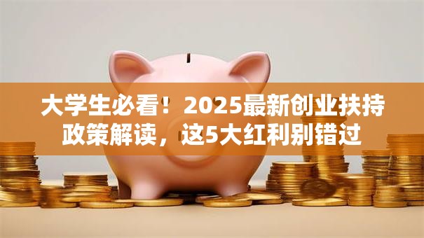 大学生必看！2025最新创业扶持政策解读，这5大红利别错过
