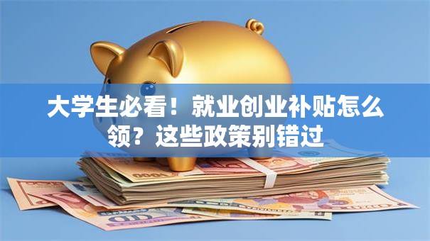 大学生必看！就业创业补贴怎么领？这些政策别错过