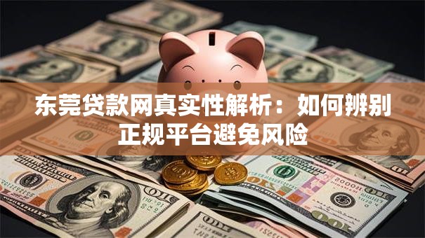 东莞贷款网真实性解析：如何辨别正规平台避免风险