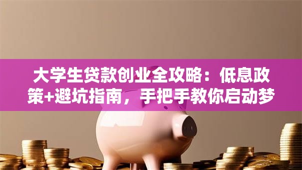 大学生贷款创业全攻略：低息政策+避坑指南，手把手教你启动梦想！