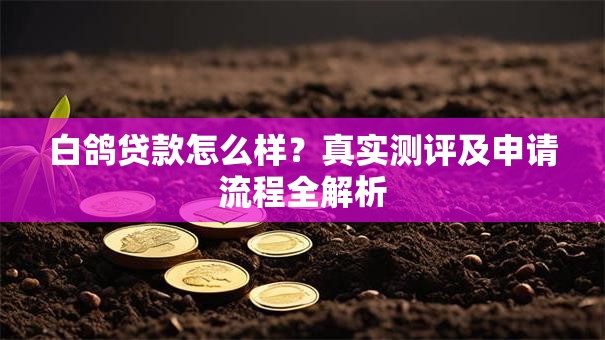白鸽贷款怎么样？真实测评及申请流程全解析