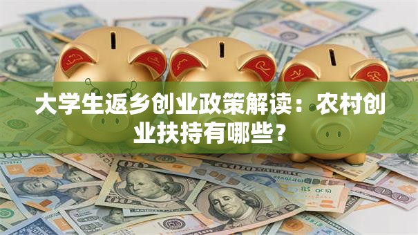 大学生返乡创业政策解读：农村创业扶持有哪些？