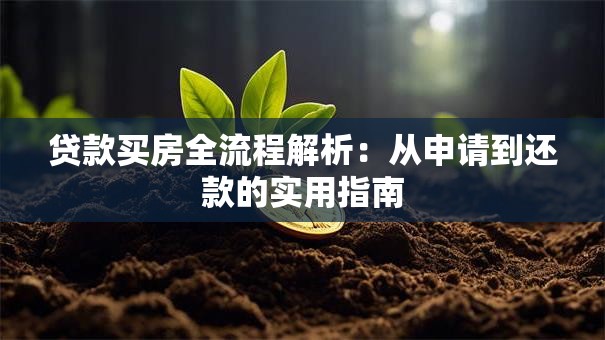 贷款买房全流程解析：从申请到还款的实用指南