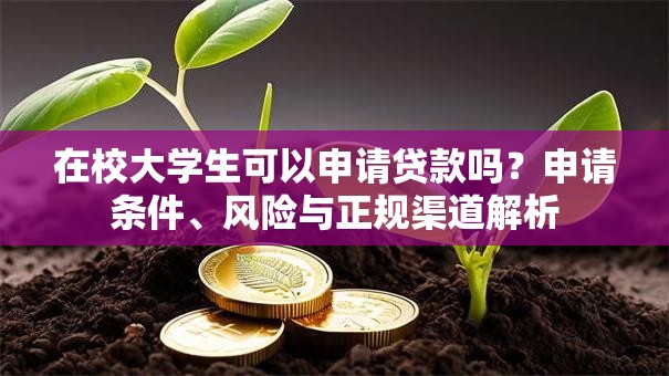 在校大学生可以申请贷款吗？申请条件、风险与正规渠道解析