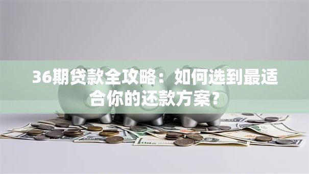36期贷款全攻略：如何选到最适合你的还款方案？