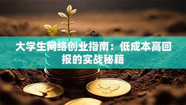 大学生网络创业指南：低成本高回报的实战秘籍