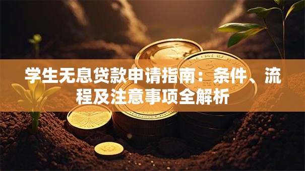 学生无息贷款申请指南：条件、流程及注意事项全解析