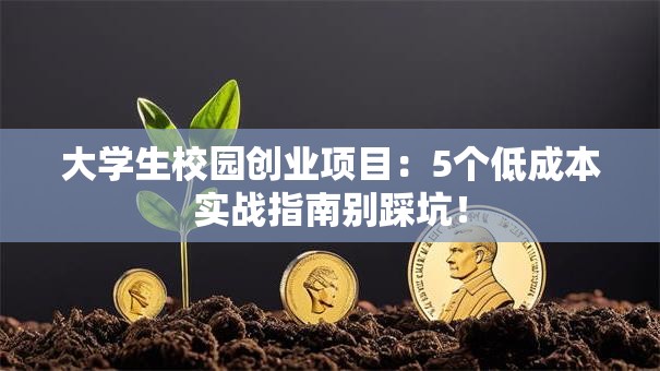 大学生校园创业项目：5个低成本实战指南别踩坑！