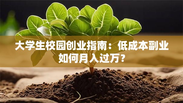 大学生校园创业指南：低成本副业如何月入过万？