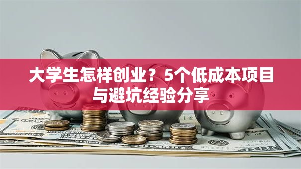 大学生怎样创业？5个低成本项目与避坑经验分享